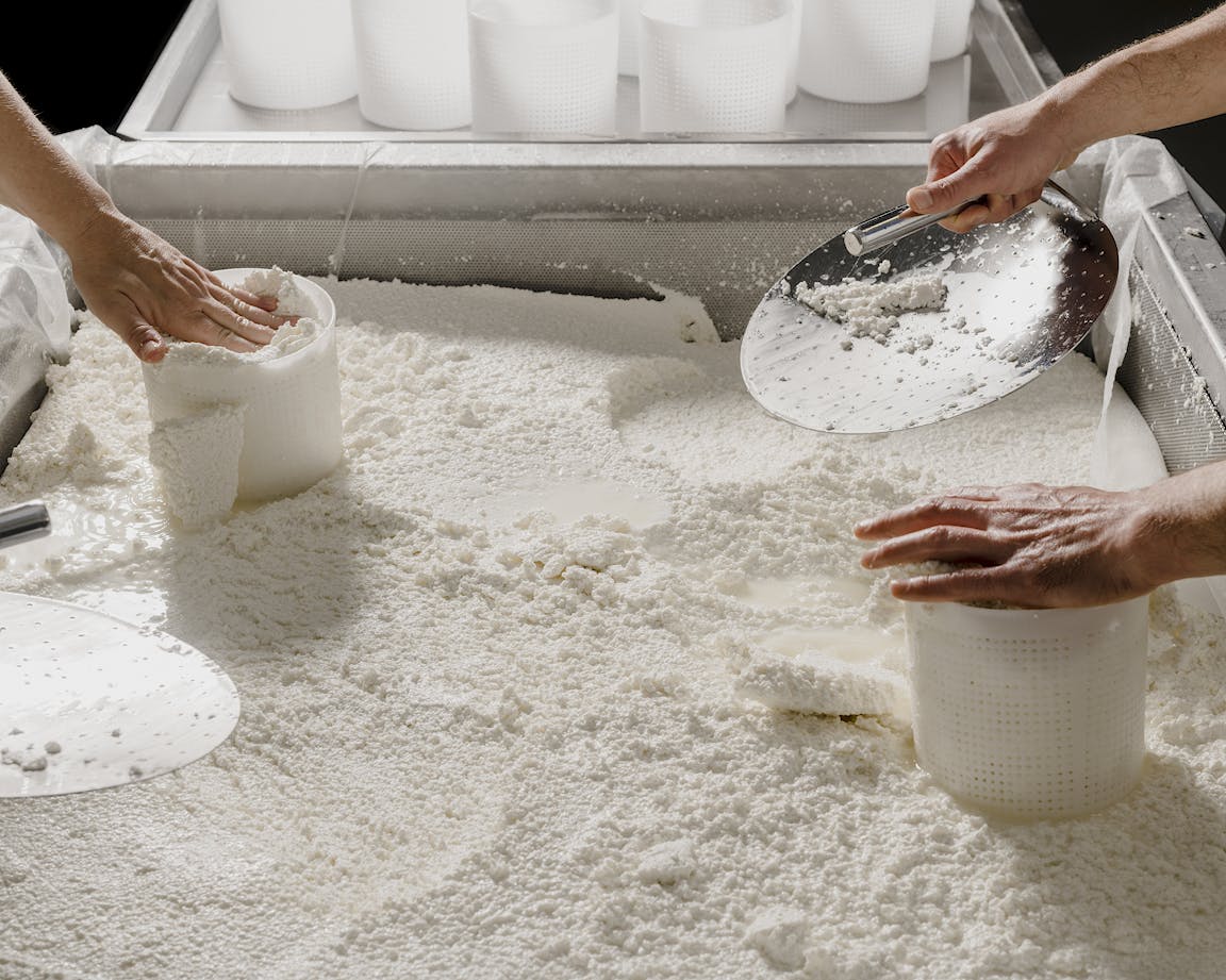 Hands form curds into molds.
